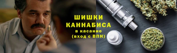 МДПВ Козловка