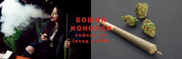 МДПВ Козловка