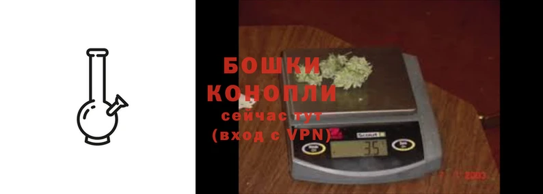 МДПВ Козловка