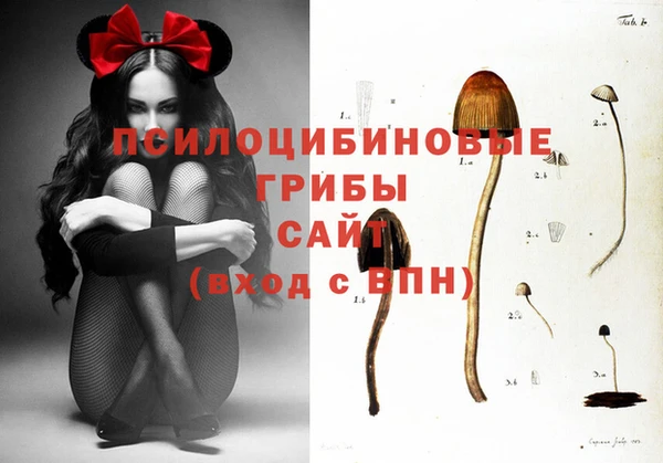 a pvp Кинешма
