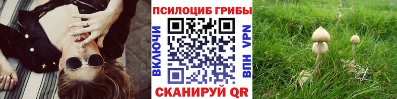 Купить где  Мещовск  Галлюциногенные грибы мухоморы 